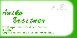aniko breitner business card